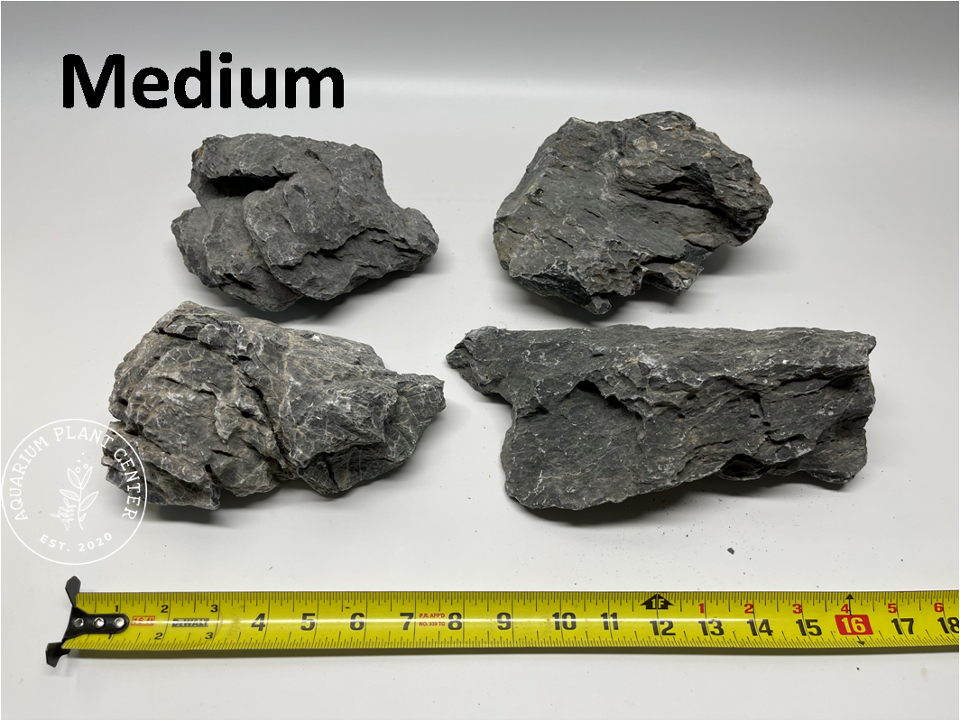 Seiryu Stone / Planted Aquarium / Decoration / Hardscape / Aquarium