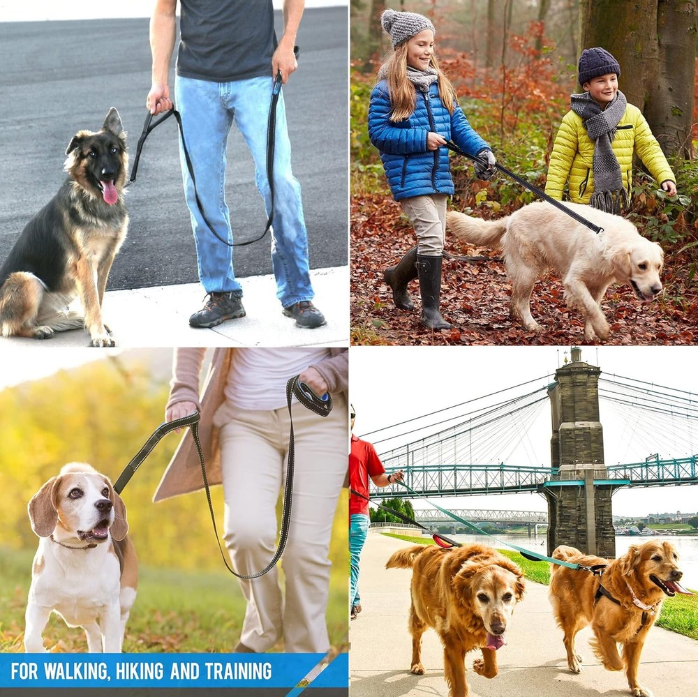 Heavy Duty Dog Leash with Traffic Handle