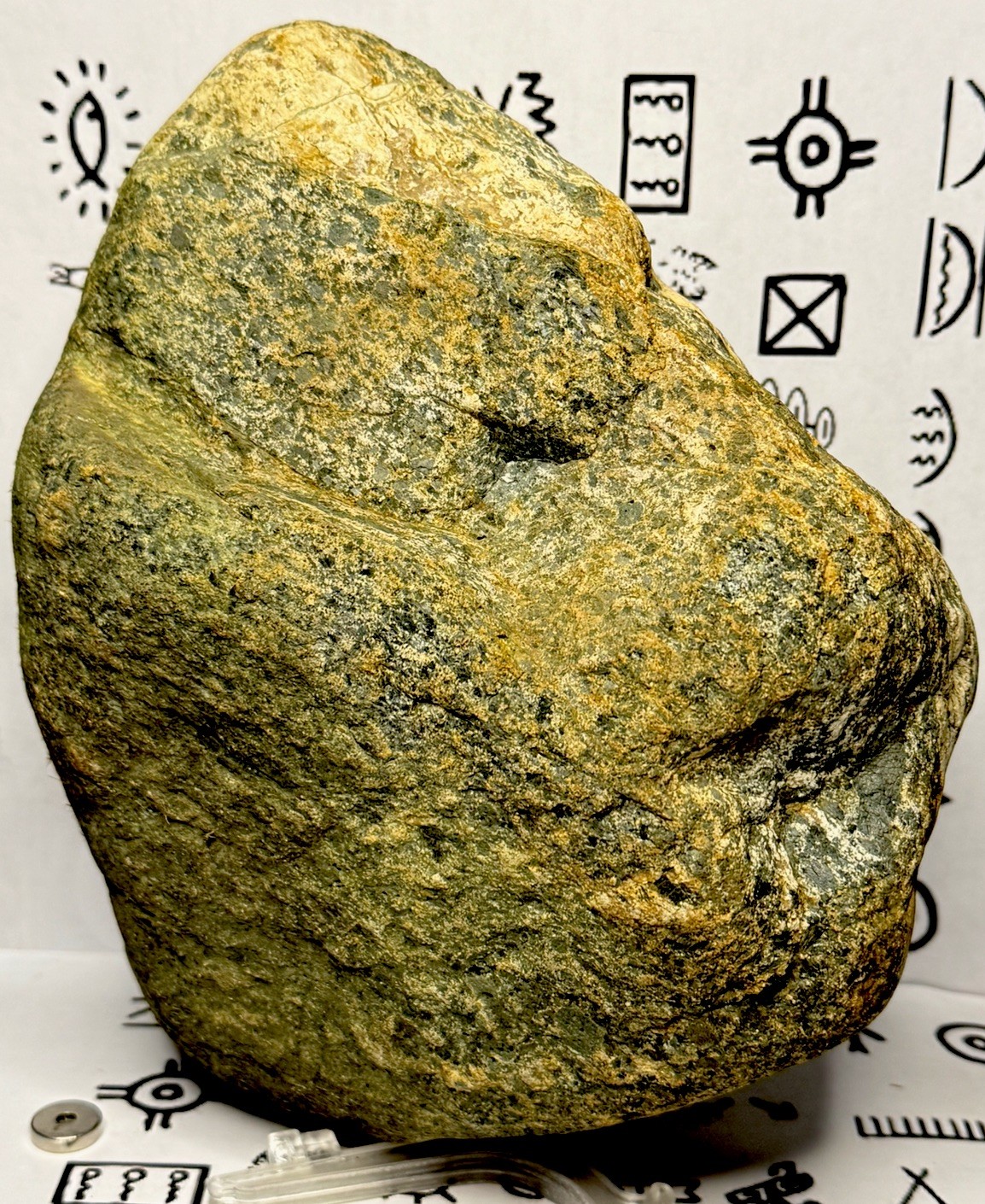 Native American Indian Authentic Artifact Stone Carved Effigy, 8 lb 2 oz • VA