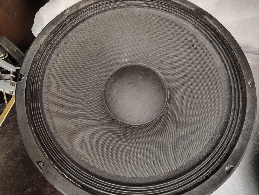EAP-15D speaker woofers, one pair
