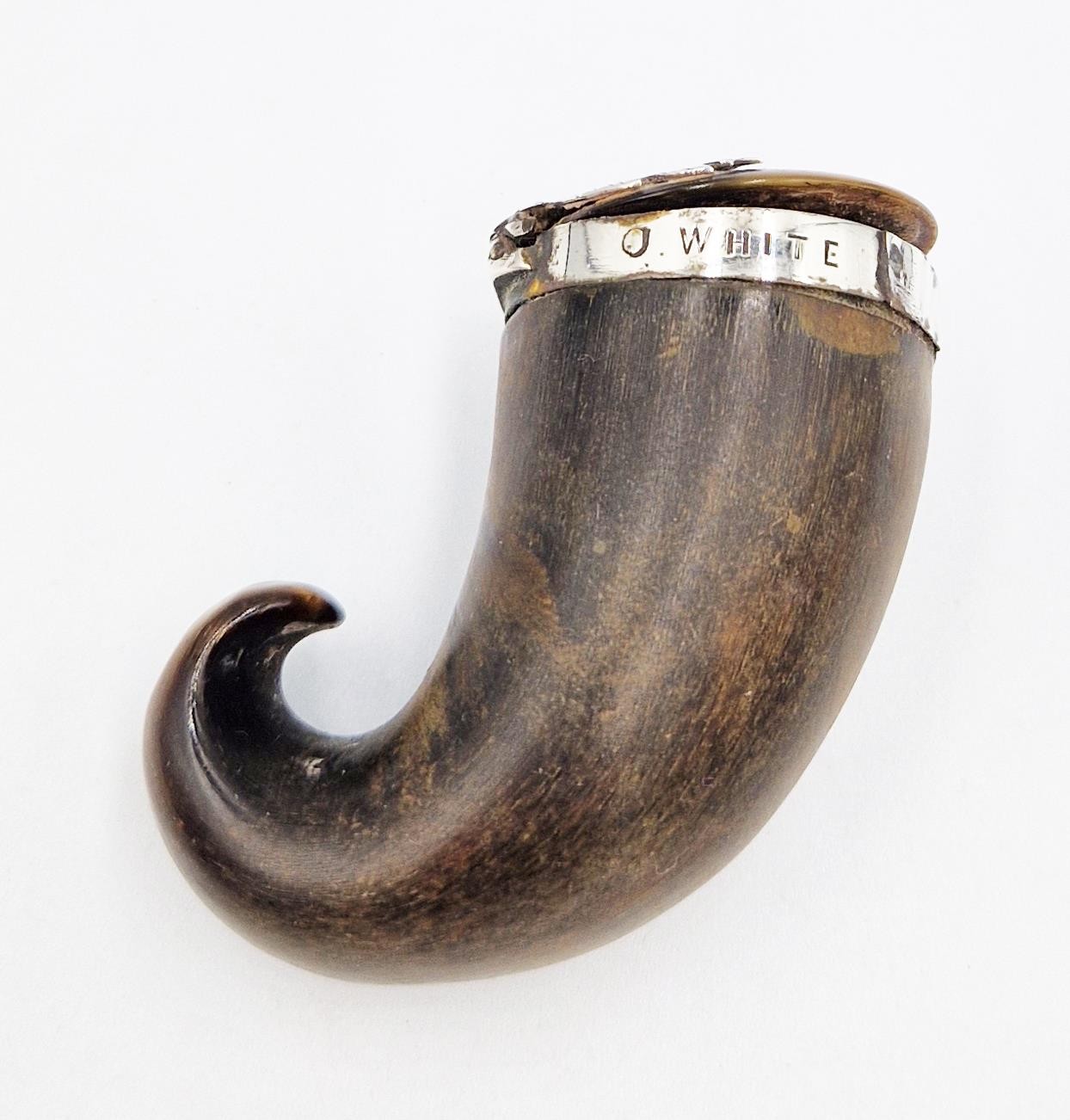 GEORGIAN SCOTTISH SOLID SILVER MOUNTED MASONIC RAMS HORN SNUFF MULL c1820