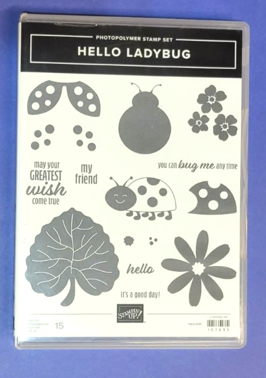 Stampin' Up! HELLO LADYBUG stamps & coordinating LADYBUG BUILDER punch