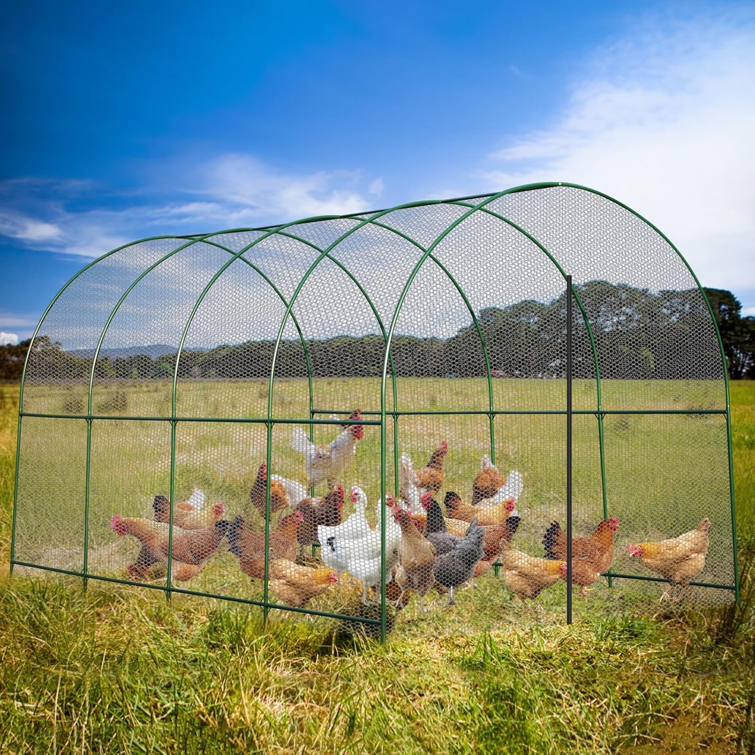 Large Size Steel Garden Arch Rose Arbor Climbing Plant Grape Support Frame Yard