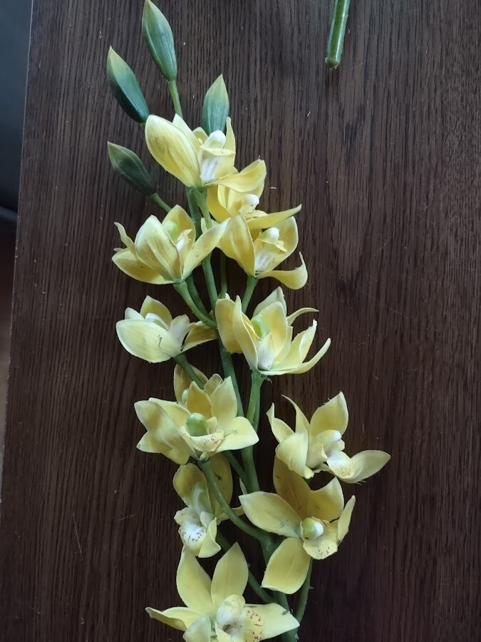 Artificial Dendrobium Orchid stem