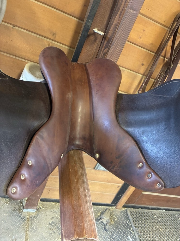 16.5 Antares Altaire Saddle