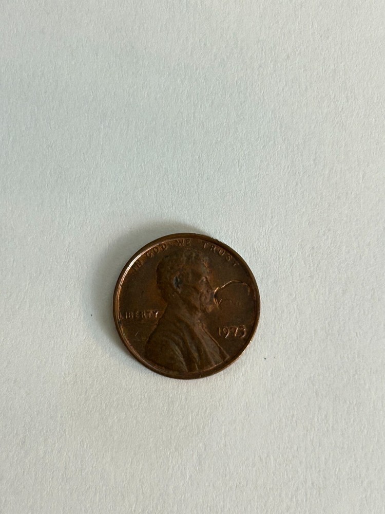1973 Lincoln Penny No Mint Mark "buffalo?" Error