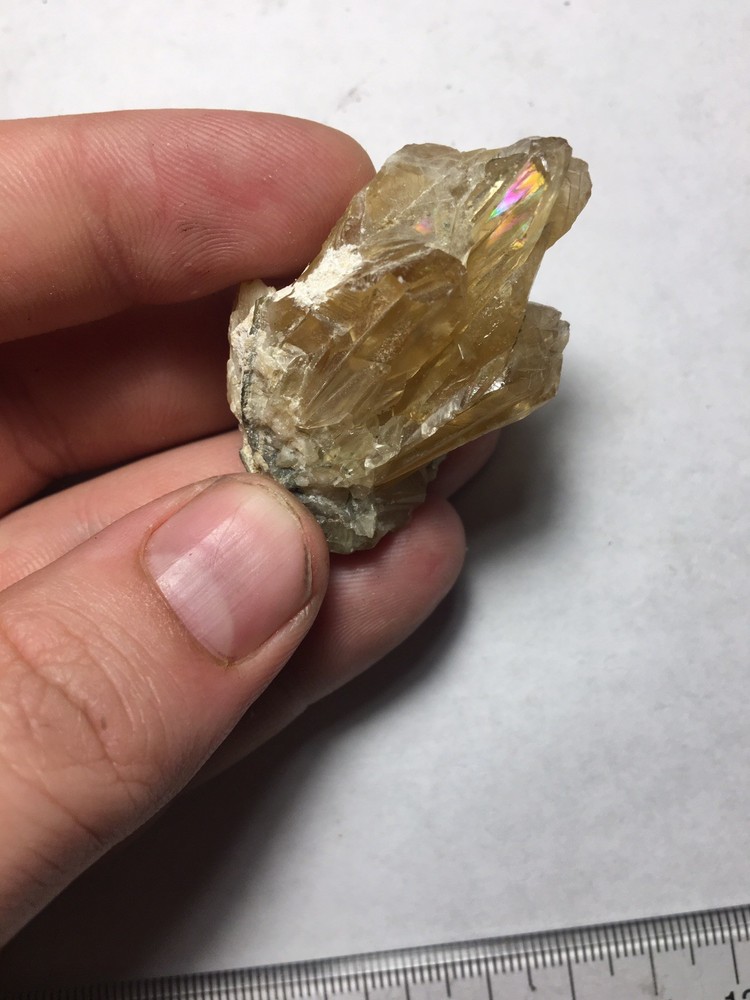 Fossil Clam Shell Calcite Crystals Fluorescent Cluster Rainbow From Rucks Pit FL