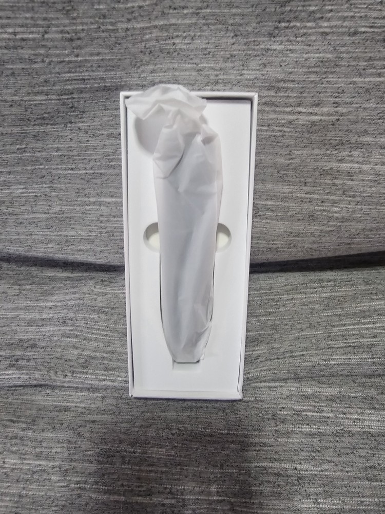 Scanning Reading Pen