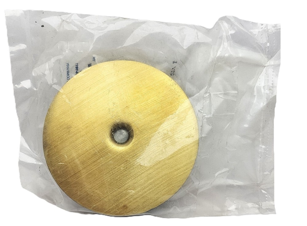 1043B WALKER BLANKING PLATE BRASS 2 INCH IPS INSERT – NEW