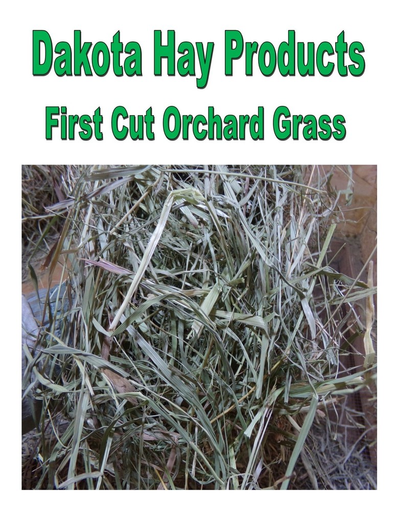 5 lbs. Orchard Grass First Cut Hay In A box