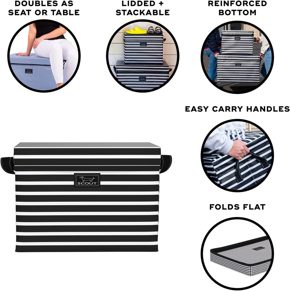 Rump Roost MED - Medium Lidded Storage Bin with Handles, Collapsible, Stackable,