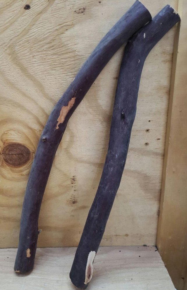 2 Manzanita branches 19"-21" #135
