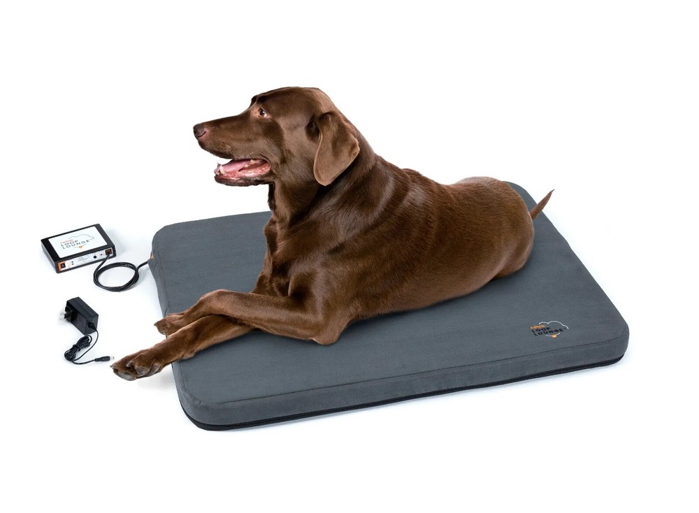 Assisi LOOP Lounge tPEMF System for Dogs and Cats