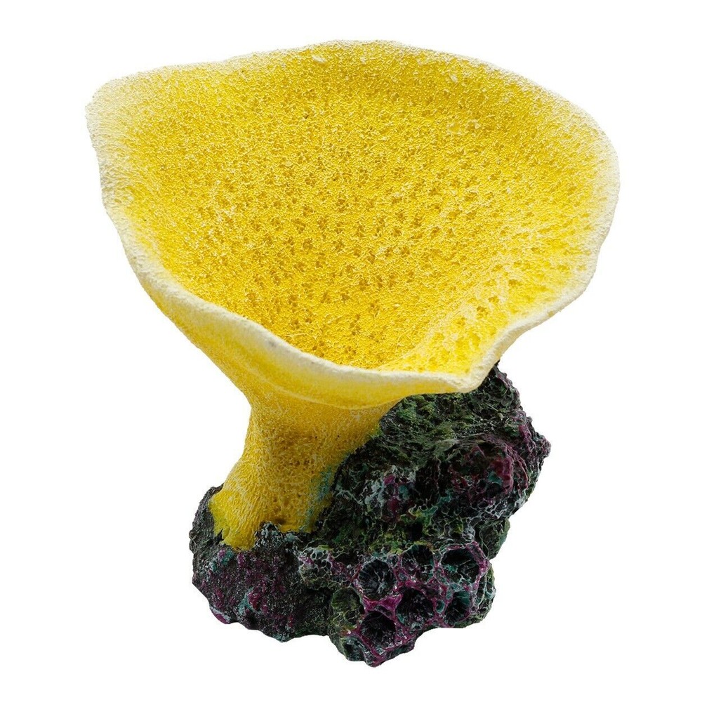 RA Elephant Ear Coral - Yellow