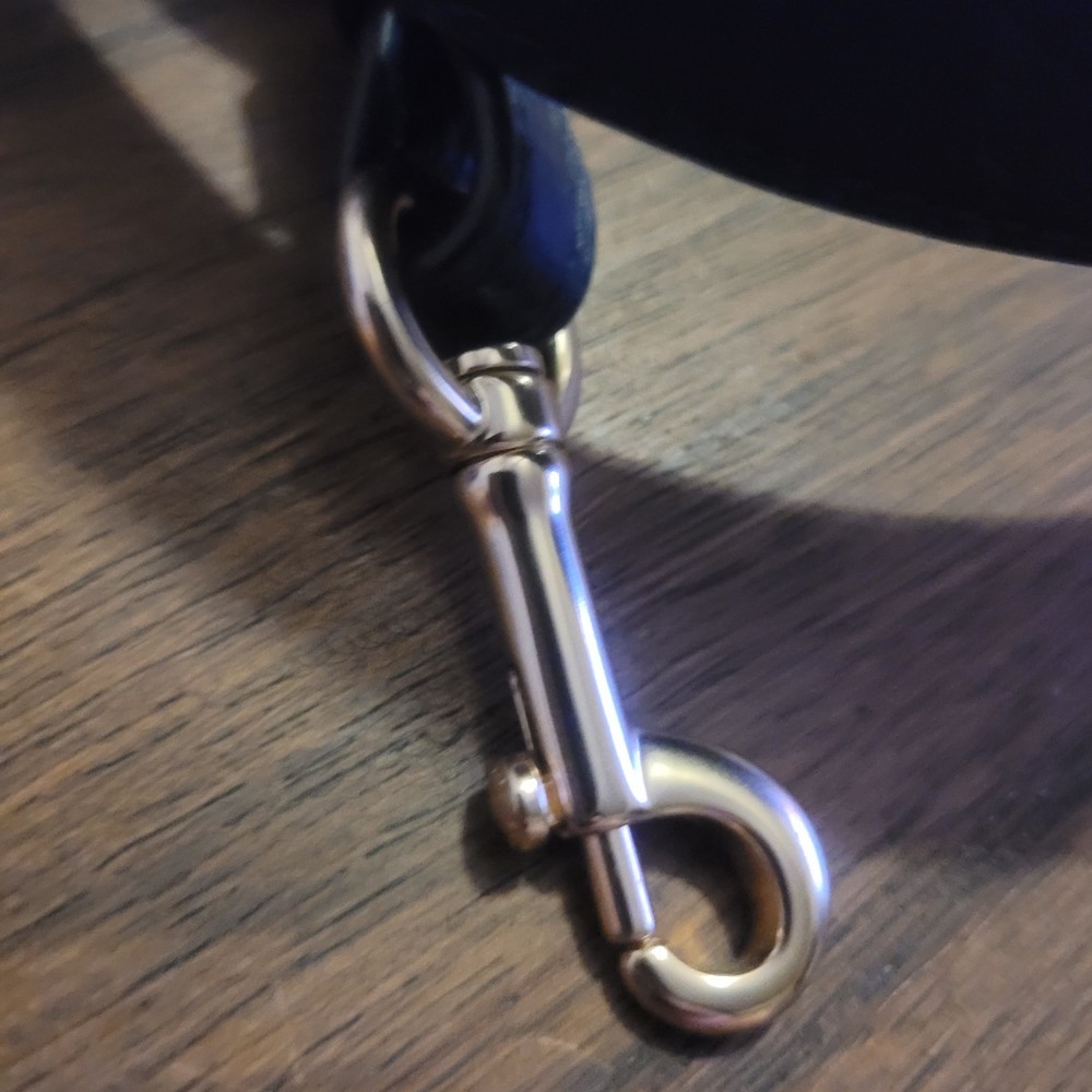 Coach Blue PYTHON Embossed Strap