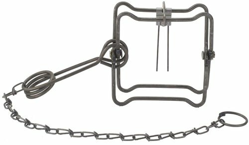 2 Duke 110 Body Grip Traps Trapping Weasel Muskrat Mink 0400