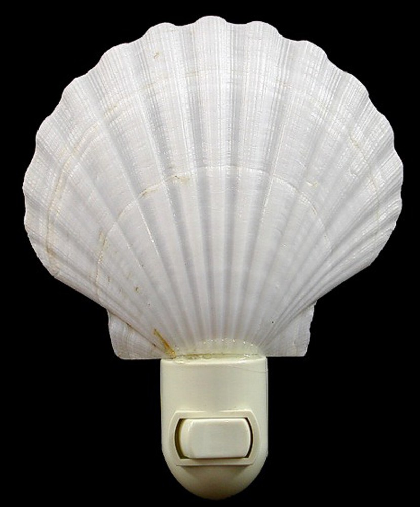Real Seashell Night Light Scallop Shell Decorative Beach Decor 4" On/Off Switch