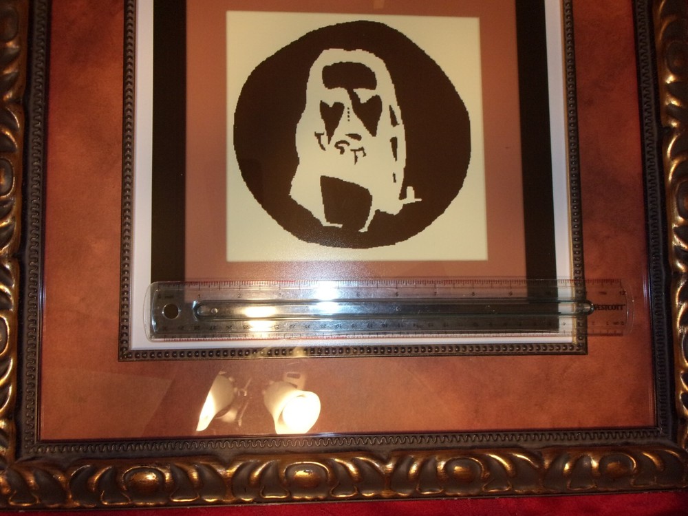 PROFESSIONALLY FRAMED JESUS CHRIST 30 SECOND OPTICAL ILLUSION AFTERIMAGE 19"X19"