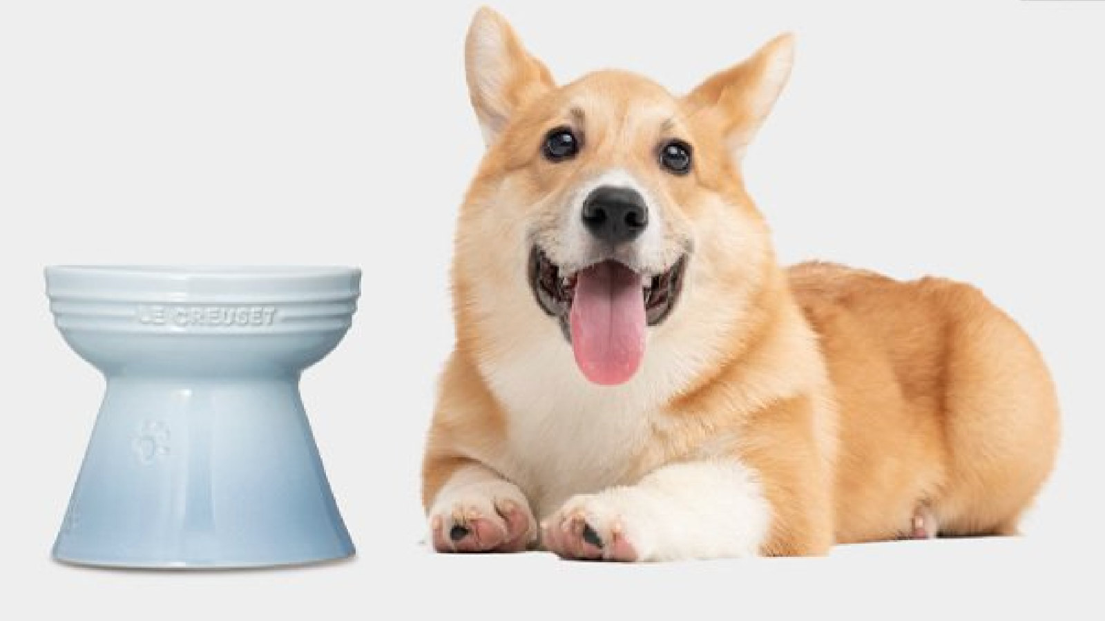 LE CREUSET High Stand Pet Bowl Pet dishes Cat Dog Food water container 8 COLORS