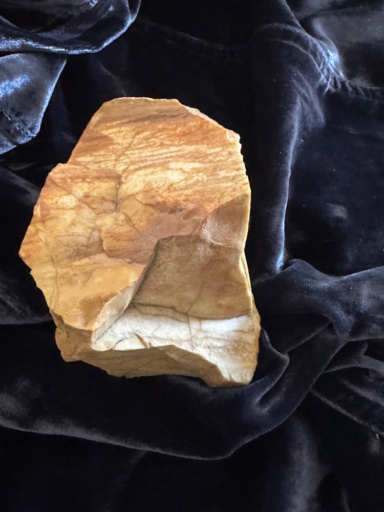 Petrified Wood