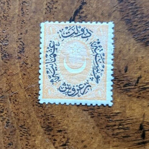 Stamps Turkey Scott #43 nh