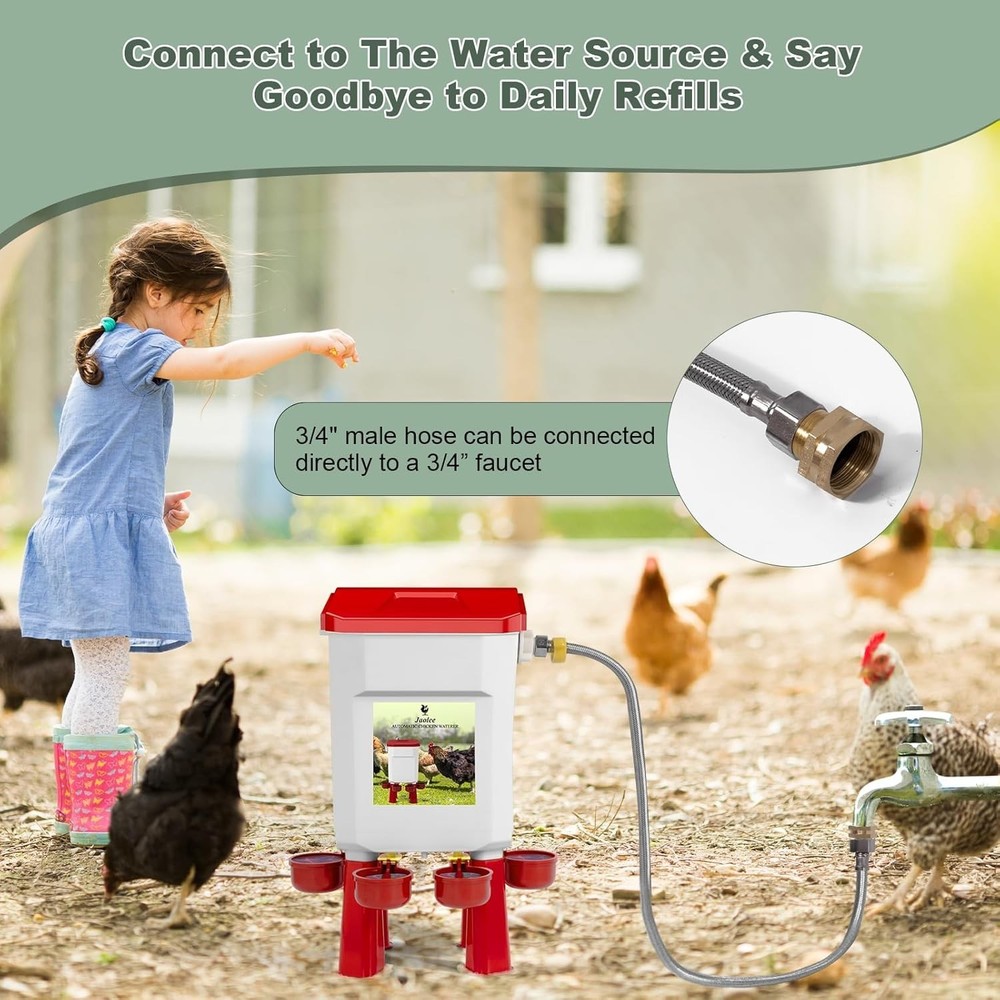 Automatic Chicken Waterer Large Chicken Waterer System Pou