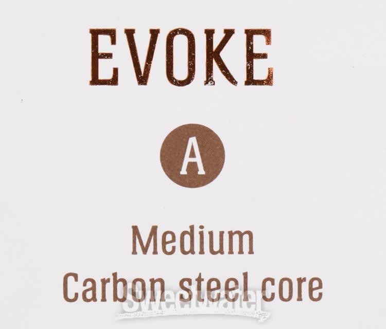 Jargar Evoke Cello A String - 4/4 Size