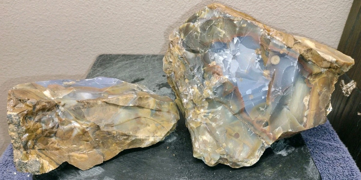 8.2LB 💙 Blue Ice Polka Dot Agate 2pc Rough Lot Ashwood, OR Cabochon Stock #24