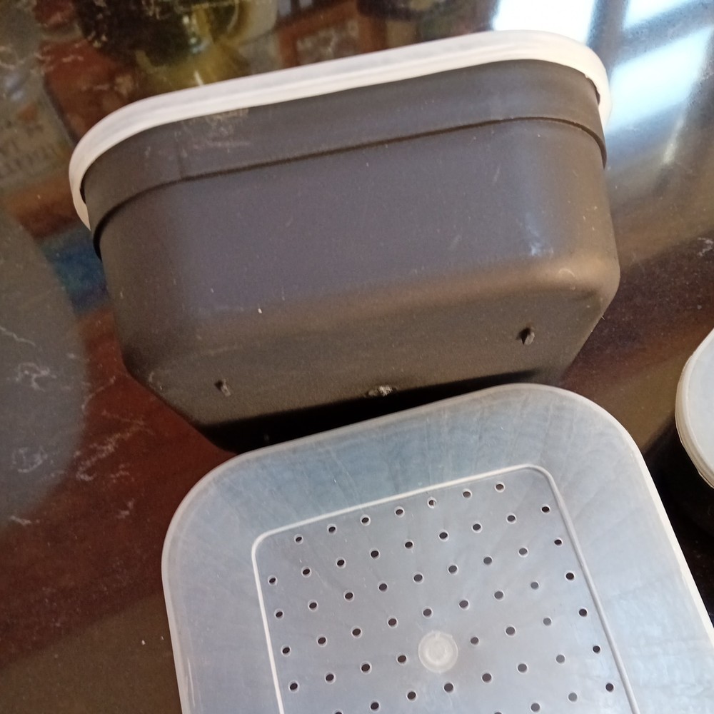 Small Bait Boxes