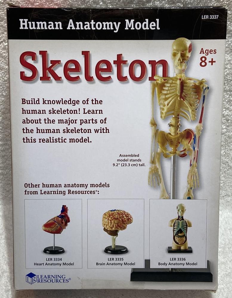 Learning Resources Skeleton Model For Children**New**