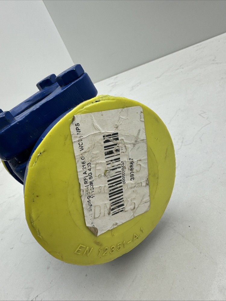 Spirax Sarco Sight Glass Flow Indicator 1” 150 Class New