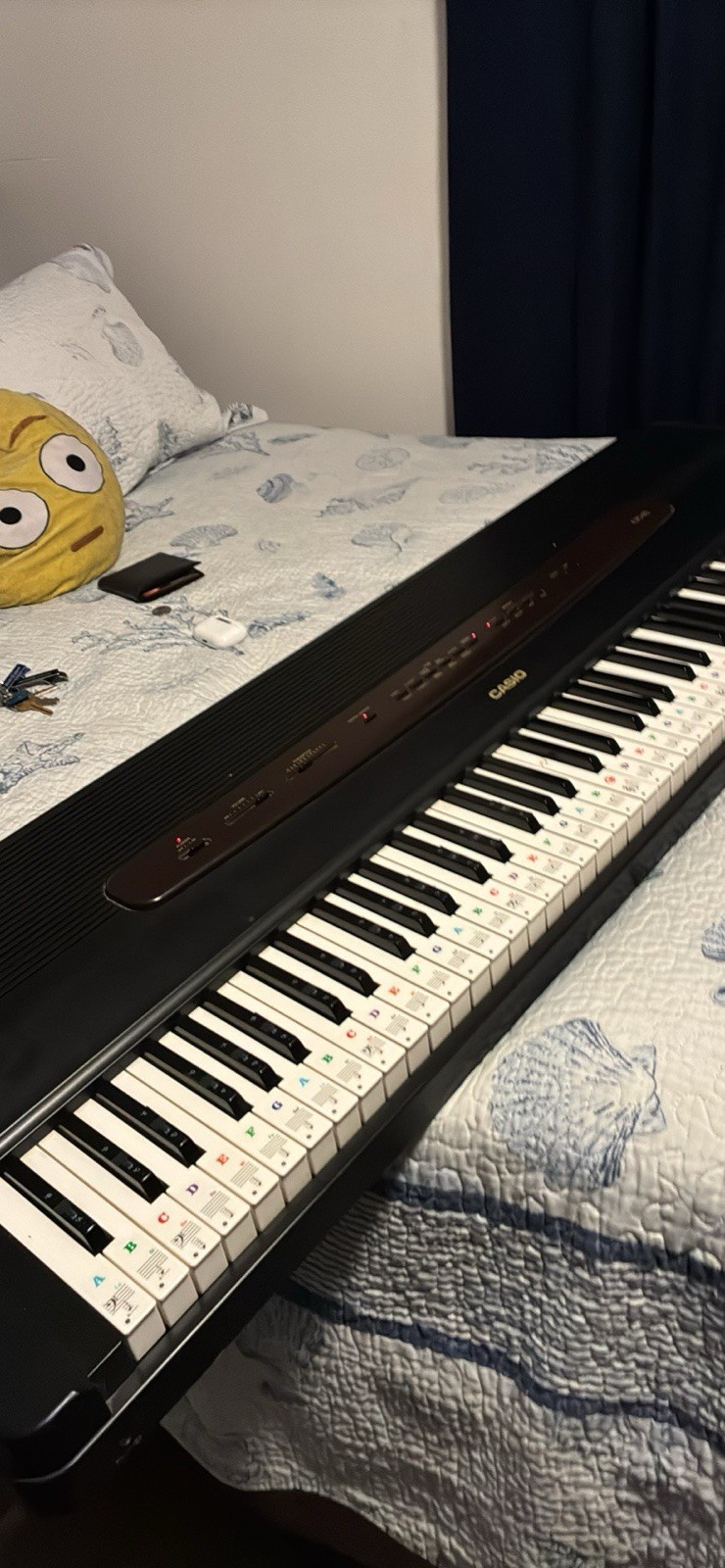 Casio 88-Key Digital Home Piano Keyboard Black Electronic Musical Instrument