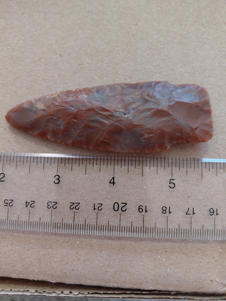 Nice Petrified Wood Scottsbluff Arrowhead (Modern)