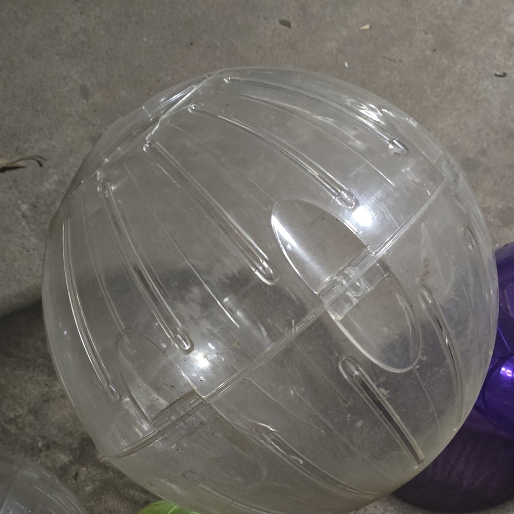 Clear, Purple, Yellow Plastic Exercise Balls for Gerbils