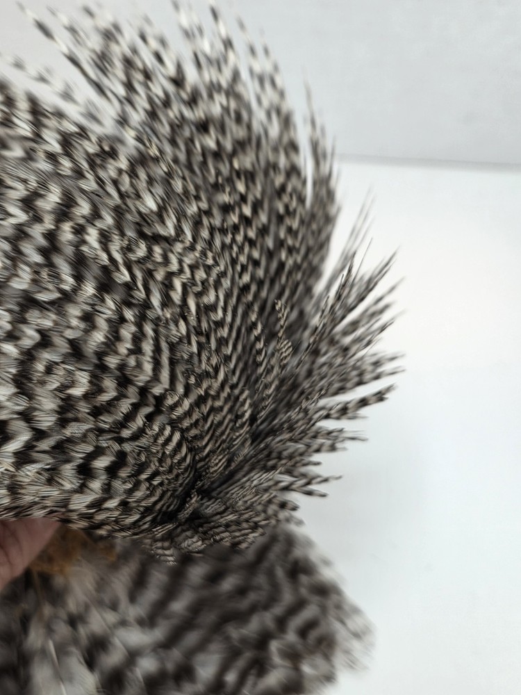 METZ Grizzly Neck Hackles Feathers Fly Tying Materials