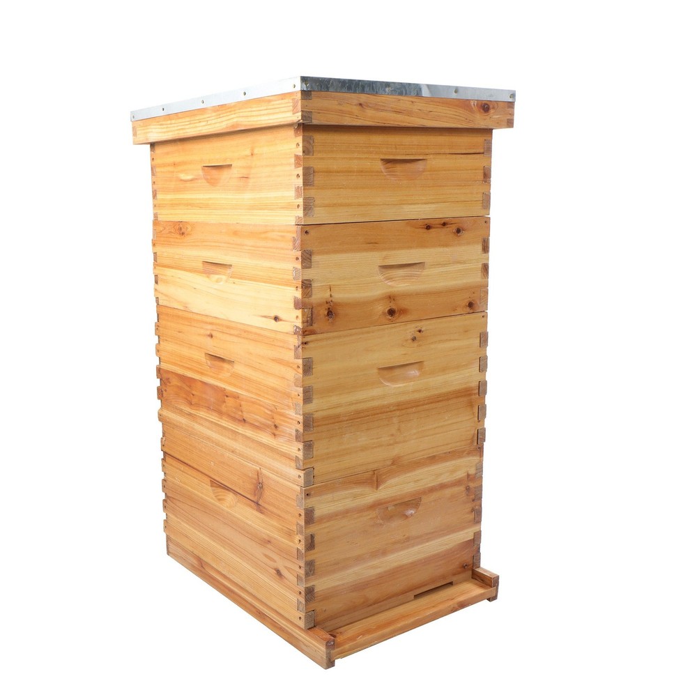 10 Frame Bee Hive Box Beeswax Coated With Frames and Waxed Foundations 4 Layer