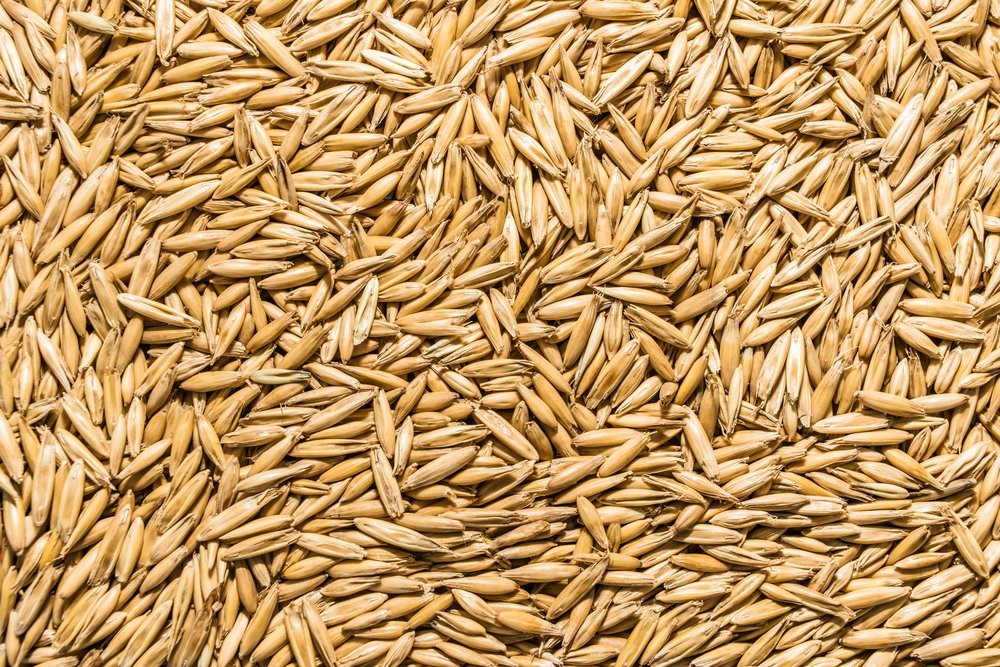 Non GMO, Certified Organic, Oat (2 lb.)