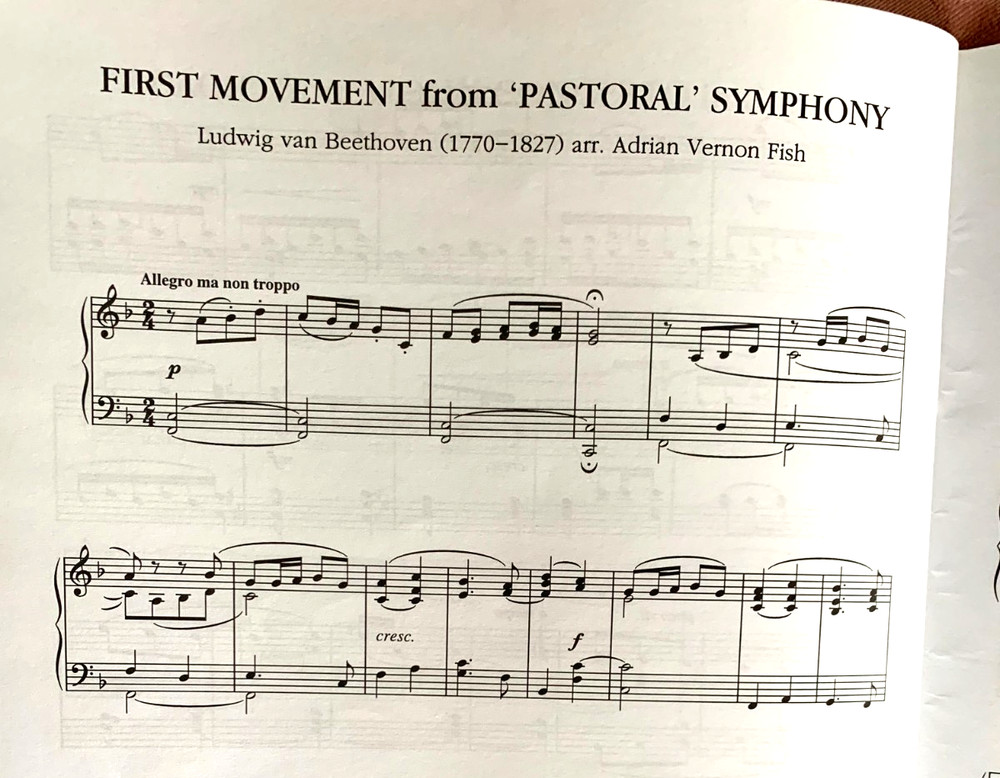 CLASSICS TOP TWENTY FOR PIANO