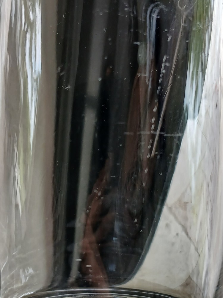 Clear Glass Pitcher 5.75" Tall