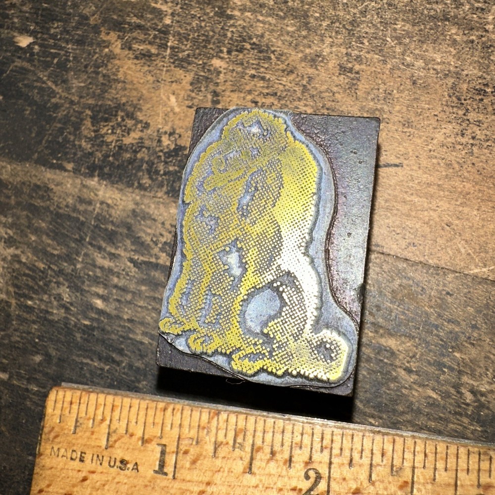 Print Block ( Cute Dog Poodle ) Nice Image!￼
