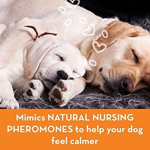 Dog Calming Pheromone Diffuser Refill | Reduces Anxiety, Stress Barking & Chewin