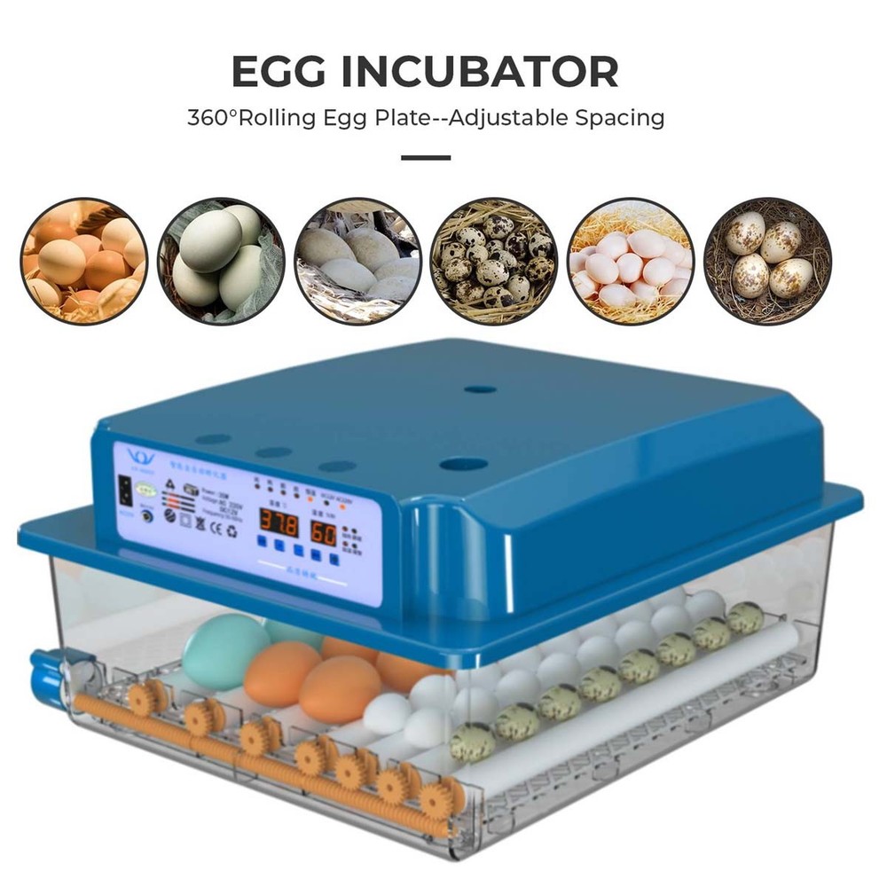 36 Egg Incubator with Auto-Turning,Temperature Humidity Control Egg Hatcher Bule