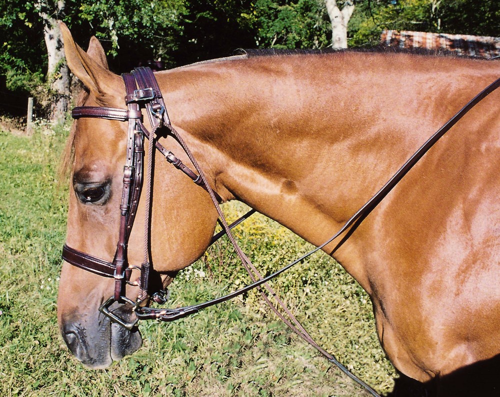 Tory Leather Chambon