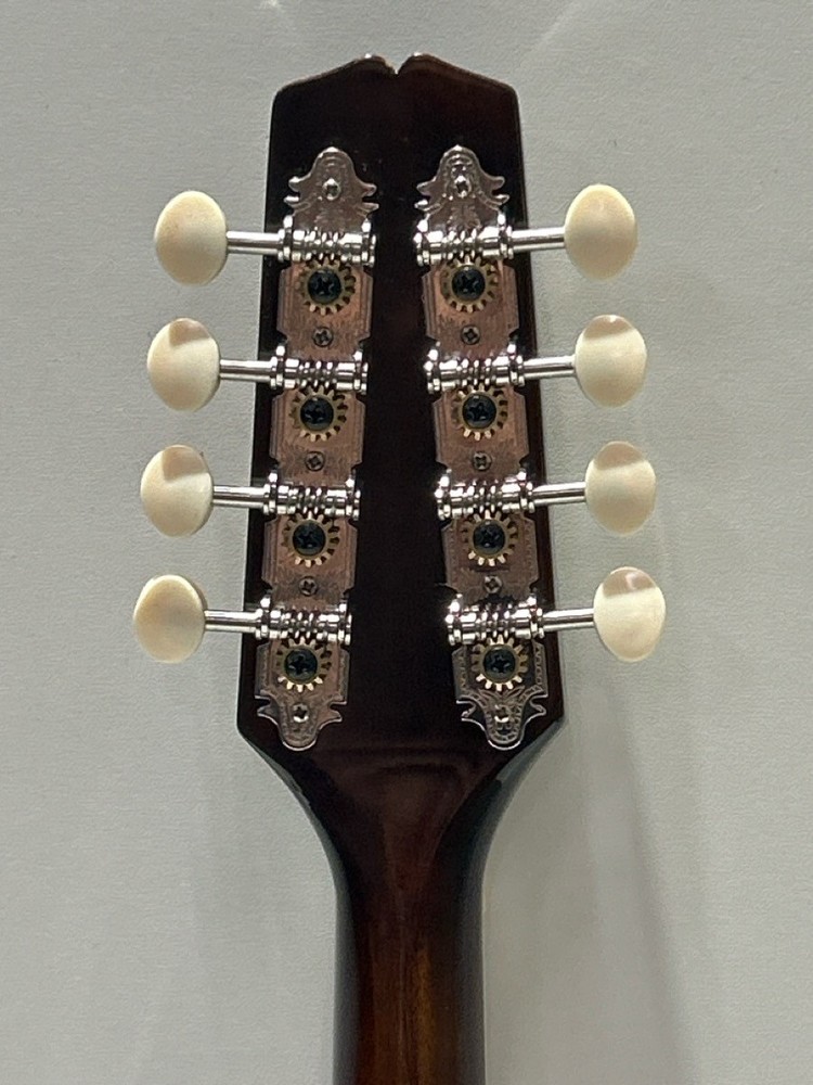 KENTUCKY MANDOLIN KM-156 8-STRING (P22016212)