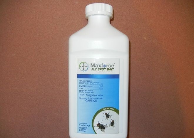 Maxforce Spot Fly Bait 1 lb. Container Bayer
