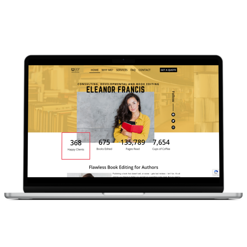Illustrator Website Design Wordpress Responsive FREE Domain and Hosting SEO