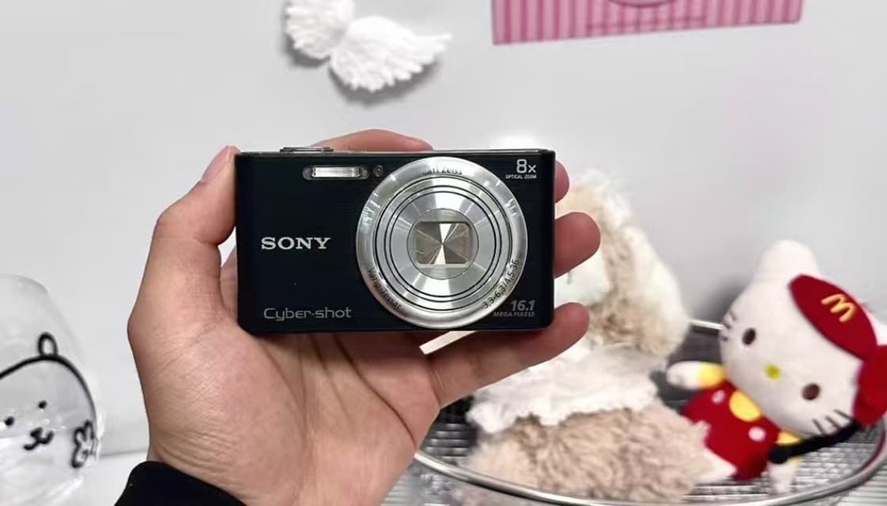 Sony Cyber-shot DSC-W730 Digital Camera fully functiona w Battery Charger