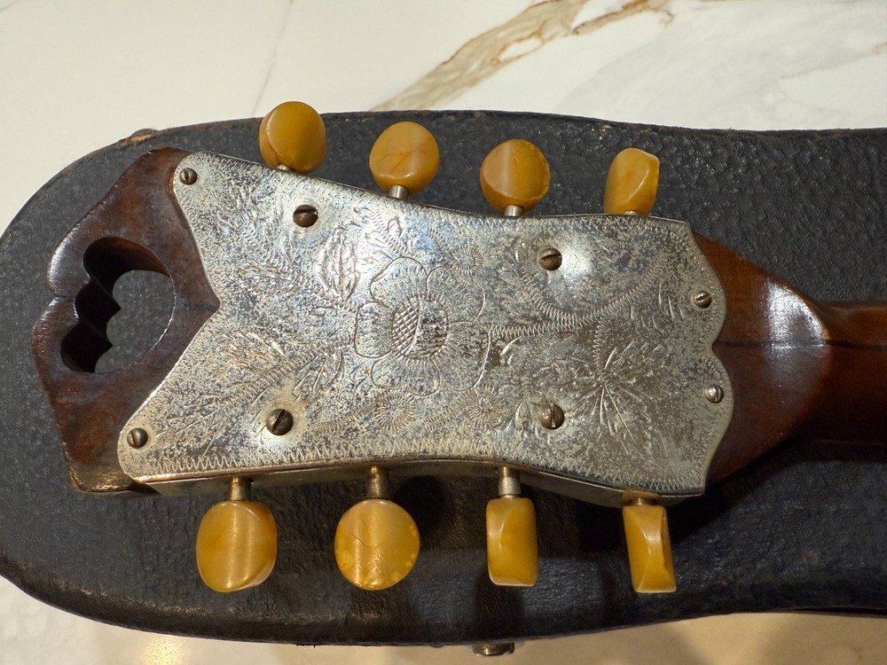 VEGA STYLE S 8 String Banjo