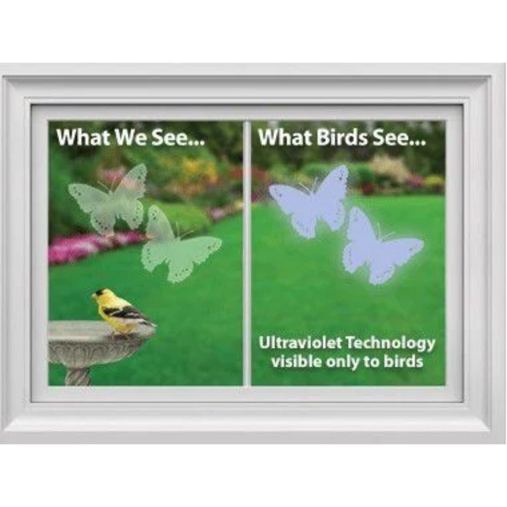 Windowalert Windowalert Modern Square Decals 4 / Envelope