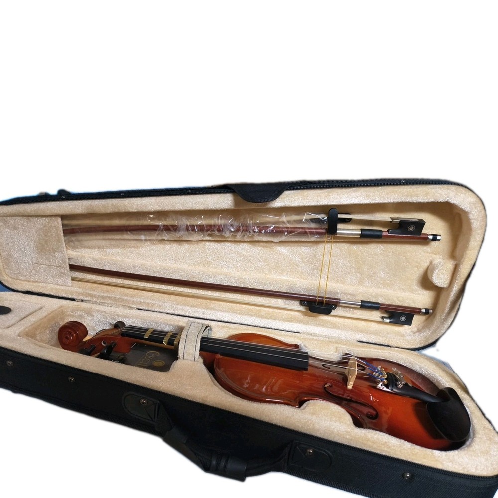 cecilio Violin Excellent Condition